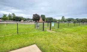 Kalamazoo apartment for rent - the dog park is fenced in and has green grass