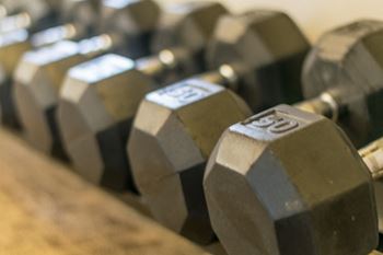 Free weights
