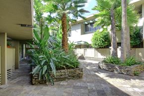 Los Angeles apartment for rent - a courtyard with palm trees in front of a building