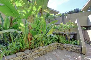Los Angeles apartment for rent - a stone retaining wall in a tropical garden