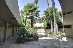 Los Angeles apartment for rent - the palm trees in the courtyard of an apartment building