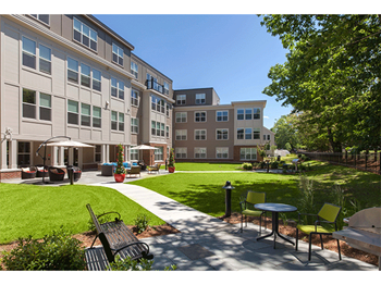 Green courtyard