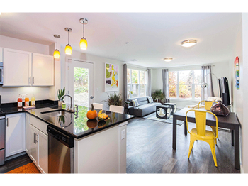 Premier kitchens with stainless steel appliances