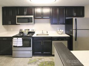 Ballston Spa apartment for rent - a kitchen with black cabinets and stainless steel appliances