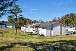 Tuscaloosa apartment for rent - A row of houses with a tree in front of them.
