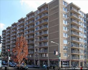 Washington apartment for rent - A tall apartment building with a tree in front of it.