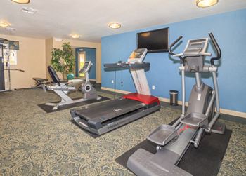 A gym with exercise machines and a television