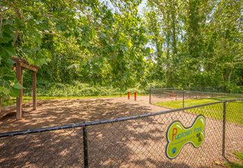 Three bark park with agility equipment