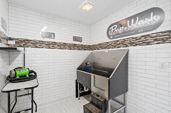 Pet wash station