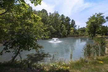 Picturesque woodland views with a pond and park benches