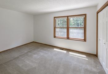 Stain-resistant carpeting*