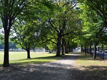 Close proximity to local park