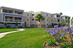 Alameda apartment for rent - an apartment building with green grass and purple flowers