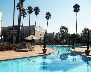 Alameda apartment for rent - a swimming pool with palm trees and tables and chairs