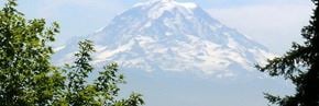Federal Way apartment for rent - A snow-capped mountain is seen through the trees.