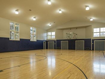 Basketball courts