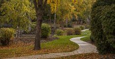 Greenbelt 