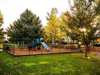 Playground view