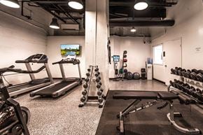 Chicago apartment for rent - 24 Hour Fitness Center at 14 West Elm Apartments, Illinois