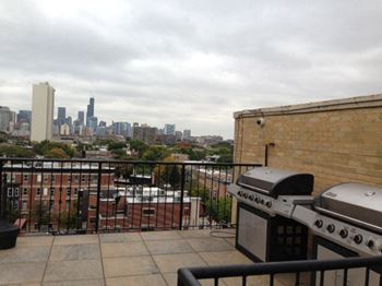 Stainless steel gas grills