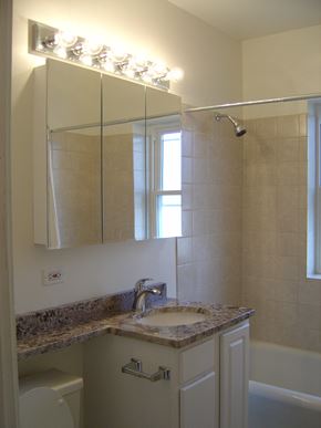 Evanston apartment for rent - Bathroom