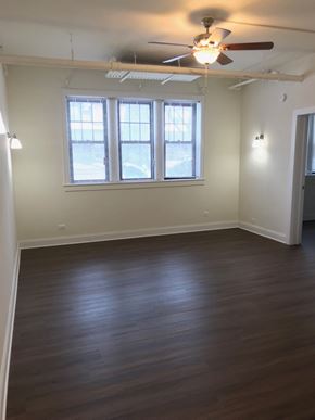 Evanston apartment for rent - Living Room