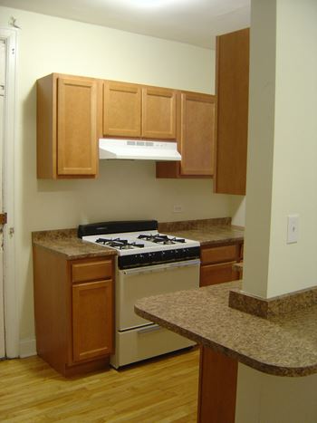 Gas stove