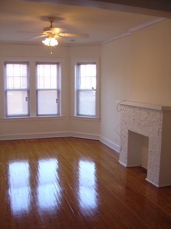 Decorative living room fireplace