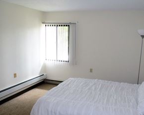 Luverne apartment for rent - the master bedroom has a queen bed and a window