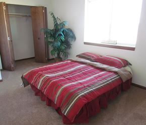Owatonna townhouse for rent - A bed with a red and grey striped comforter sits in a room with a large window and a plant.