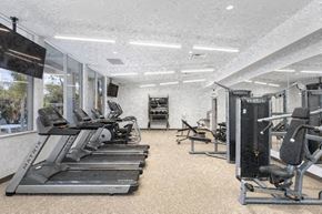 Thousand Oaks apartment for rent - the gym is equipped with cardio equipment and weights