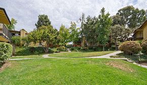 Thousand Oaks apartment for rent - a yard with a sidewalk and trees and houses