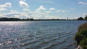 Anchorage apartment for rent - a large body of water with trees in the background and a blue sky with clouds