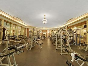 Chicago apartment for rent - the gym has a slew of weights and cardio equipment