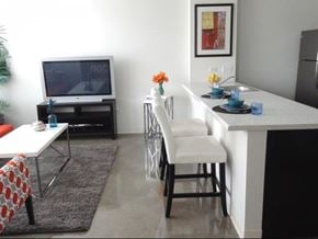 Chicago apartment for rent - a living room with a kitchen and a television