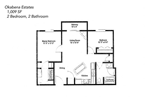 Floor plan for 2 beds, 2 baths, 1009 sqft