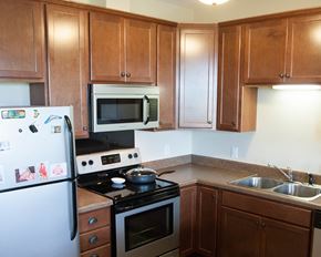 Northfield townhouse for rent - a kitchen with a stove and a refrigerator and a sink