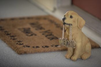 Pet-friendly community with dog park
