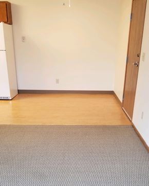 Silver Lake apartment for rent - an empty room with a rug and a door