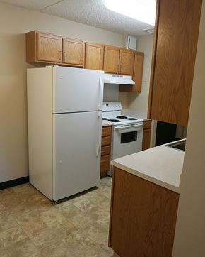 Buffalo apartment for rent - a kitchen with a refrigerator and a stove and cabinets