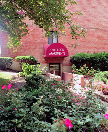 Courtyard garden space