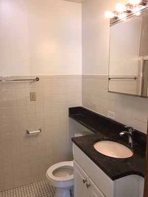 Evanston apartment for rent - Bathroom