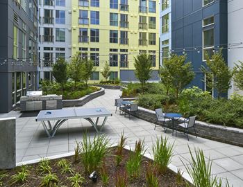 Courtyard with bbqs, seating & ping pong