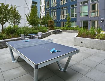 Courtyard with bbqs, seating & ping pong