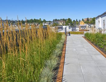 Rooftop deck with sweeping seattle views