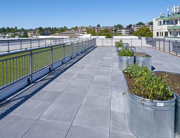 Rooftop greenhouse lounge & resident garden