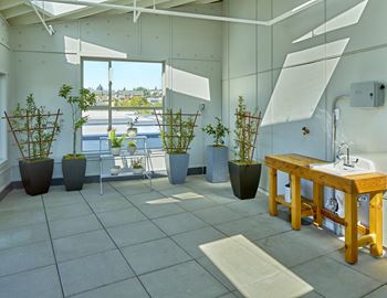 Rooftop greenhouse lounge & resident garden