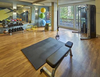 Crossfit/trx & cardio fitness rooms*