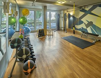 Crossfit/trx & cardio fitness rooms*