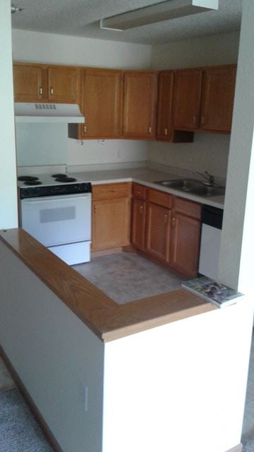 Thief River Falls apartment for rent - an empty kitchen with wooden cabinets and a white stove